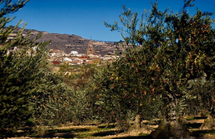 Vista de Arróniz con el campanario de la Iglesia de San Salvador. Foto: Patxi Uriz. Cortesía del Archivo de Turismo Reyno de Navarra.