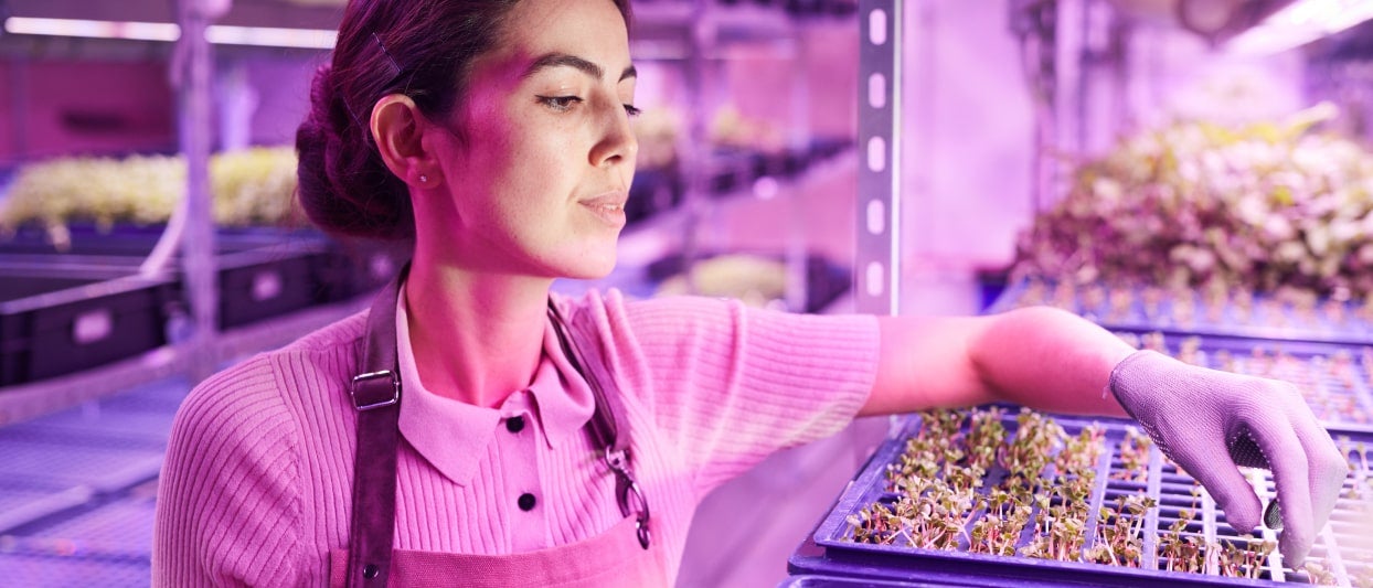 Impulsa tu negocio hacia un futuro más eficiente