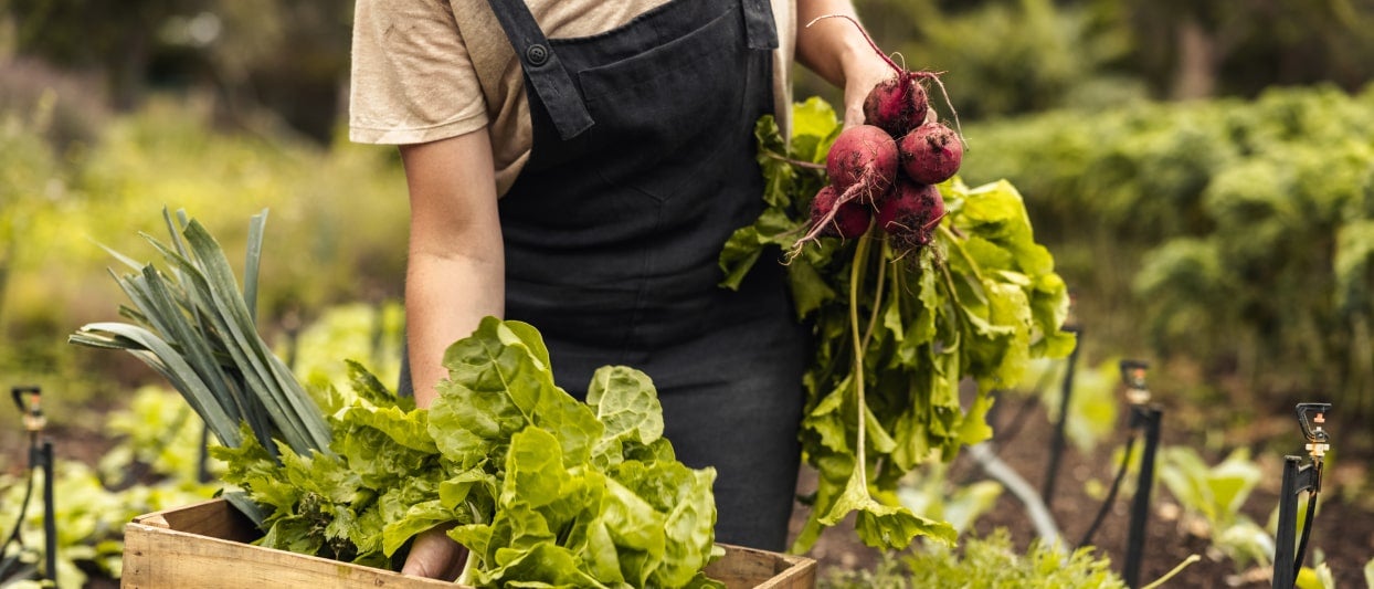 Por qué los productos locales son el ingrediente clave en tu restaurante