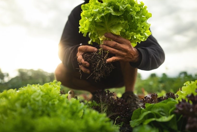 Producto fresco local